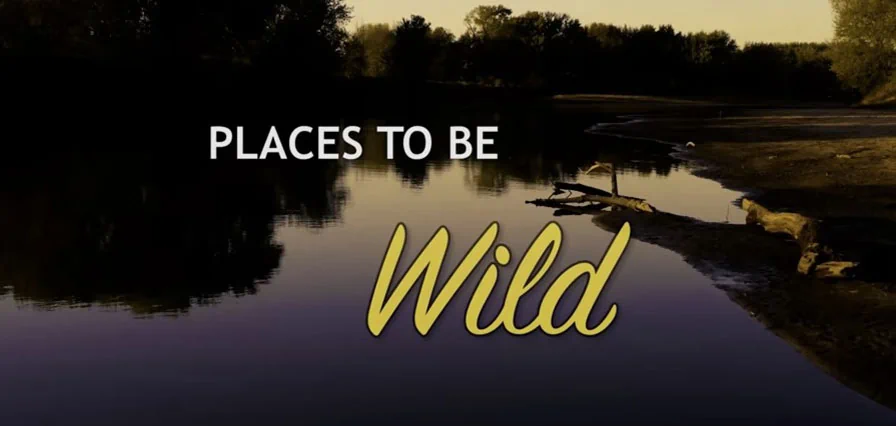 PLACES TO BE WILD